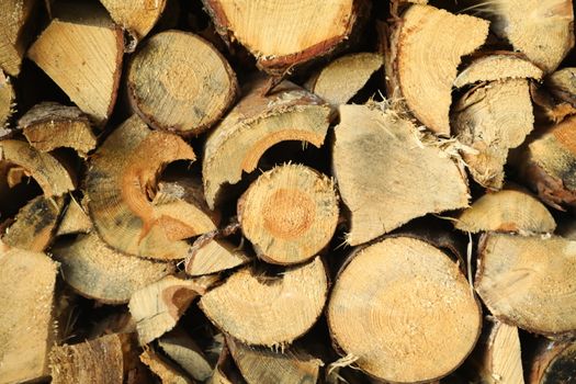 Abstract Wood Texture