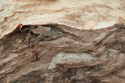 Raw stone Texture