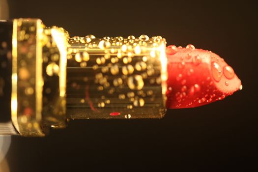 Fashion Colorful Lipstick