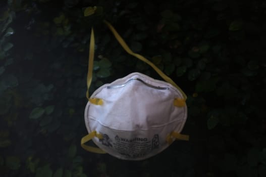 Bangkok, THAILAND - Mar 26, 2020 : N95 mask for protection against pollution, virus, flu and coronavirus (Covid-19). Protection pm 2.5. Air face mask. Medical Doctor mask on wall tree background. Copyspace for artwork . 