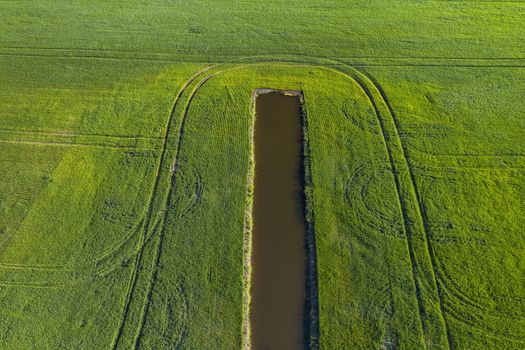 Land improvement or land amelioration concept, drone flying over narrow irrigation or drainage channels on rye or wheat field. Illustration of agriculture in the zone of risky agriculture.