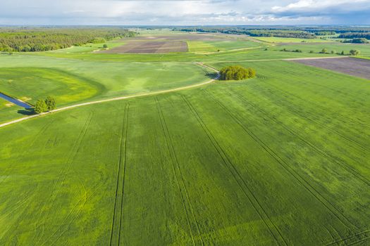 Crop and agriculture concept, drone flying over field countryside at sunny cloudy spring time. Wonderful aerial video for ecological concept