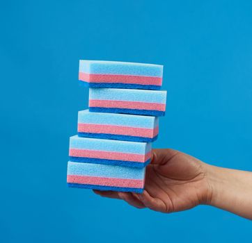 female hand holds blue stack kitchen sponges for washing dishes, part of the body on a blue background
