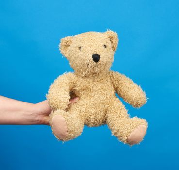 female hand hold a small brown toy teddy bear on a blue background, close up