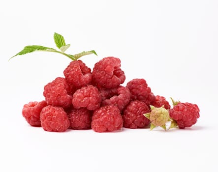 red ripe raspberries and green leaf on a white background, summer sweet crop, close up