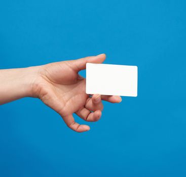 female hand holds a rectangular white paper blank business card on a blue background, close up
