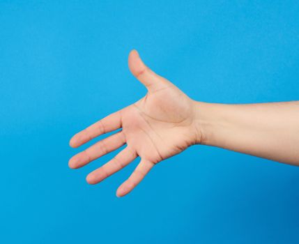 outstretched hand of man, open hand, part of the body on a blue background, close up