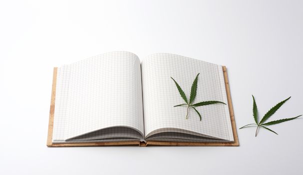 open notebook with blank white sheets and green hemp leaf, white background