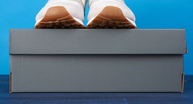 pair of leather sneakers stands on a cardboard box, blue background
