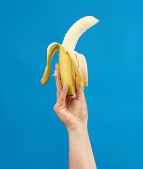female hand holds a ripe peeled banana on a blue background, close up