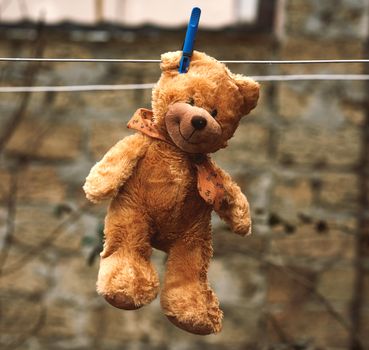 cute brown wet teddy bear hanging on a clothesline and drying in the fresh air, vintage toning, loneliness concept