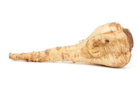 large parsnip root isolated on a white background, healthy and tasty vegetable