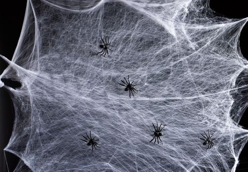 stretched white web and black plastic spiders, background for the holiday Halloween, copy space