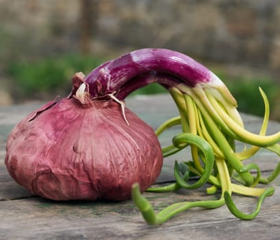 red onion with sprouted green leaves on a wooden background, close up