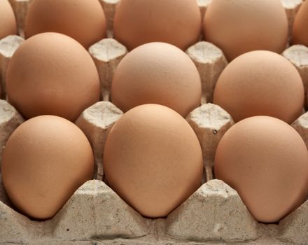 whole round raw brown homemade chicken eggs in a paper tray, selective focus, close up