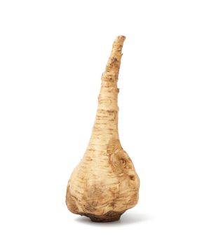 large parsnip root isolated on a white background, healthy and tasty vegetable
