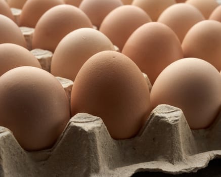 whole round raw brown homemade chicken eggs in a paper tray, selective focus, close up