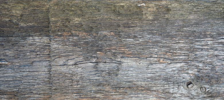 texture of a very old gray wooden board, full frame, backdrop for the designer