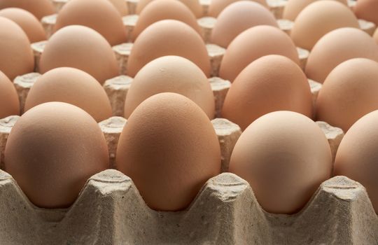 whole round raw brown homemade chicken eggs in a paper tray, selective focus, close up