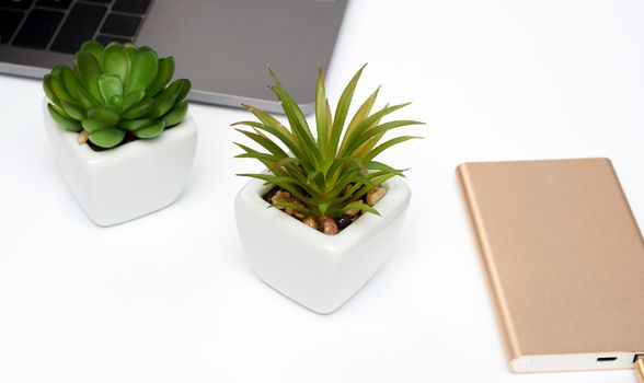 open laptop, golden power bank and two plants in a ceramic white flowerpot, workplace, close up