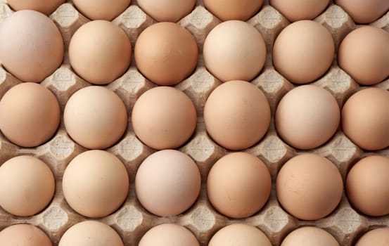 whole round raw brown homemade chicken eggs in a paper tray, selective focus, close up