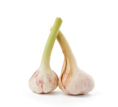 young garlic root isolated on white background, fragrant spice, close up