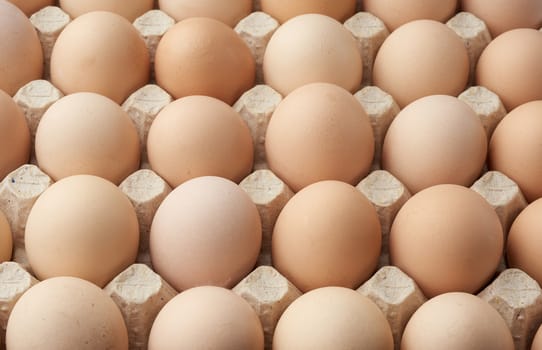 whole round raw brown homemade chicken eggs in a paper tray, selective focus, close up