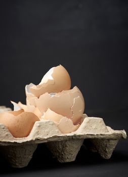 eggshell in paper tray, black background, close up
