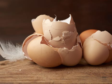 chicken eggs shells on a cutting board, close up
