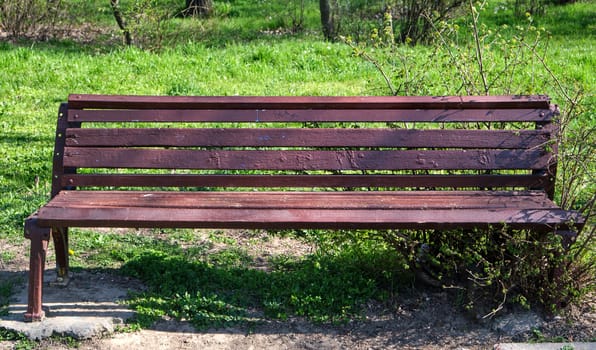empty brown wooden park bench in spring afternoon