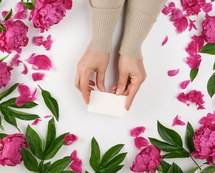 female hand holding a stack of white empty paper business cards, top view