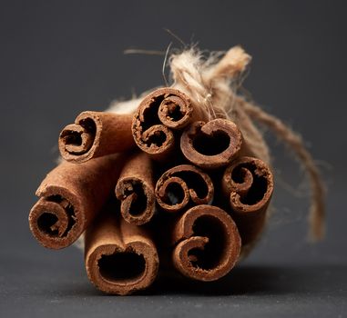 tied bunch of brown cinnamon sticks on a dark background, close up