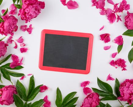 empty black frame for writing in chalk and blooming red peonies on a white background, copy space