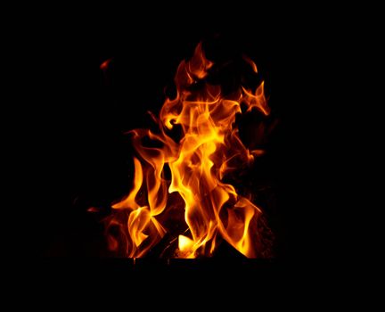 burning wooden logs in a bonfire at night, orange flames