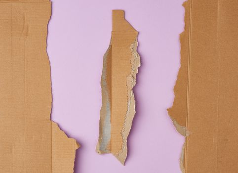 torn edges of cardboard corrugated paper on a purple background, abstract backdrop template