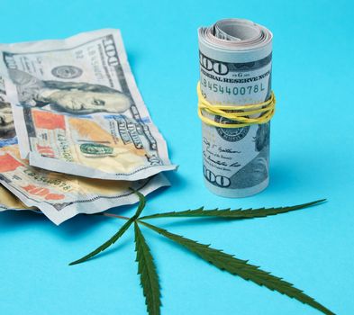 banknotes of american dollars and green leaf of hemp on a blue background, concept of making money on illegal business