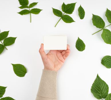 female hand holding a stack of white empty paper business cards 