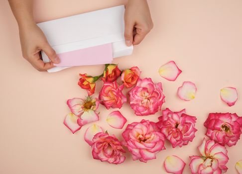 two female hands are holding a white paper envelope in the middle of blooming rose buds on a beige background, top view