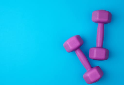 pair of purple plastic dumbbells on a blue background, top view, training equipment