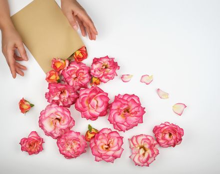 two female hands and a paper envelope with buds of pink roses on a white background, top view