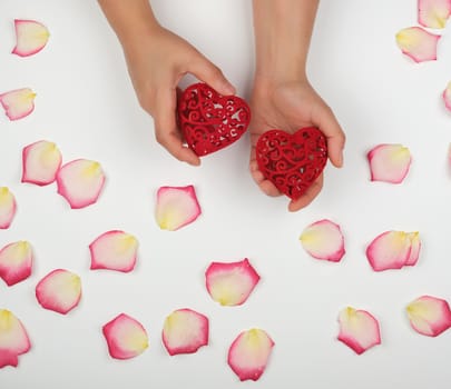 female hands hold red heart, white background with pink rose petals, top view, holiday backdrop 