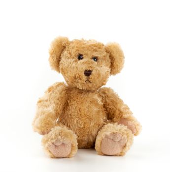 cute light brown fluffy teddy bear sitting on a white isolated background, toy for children