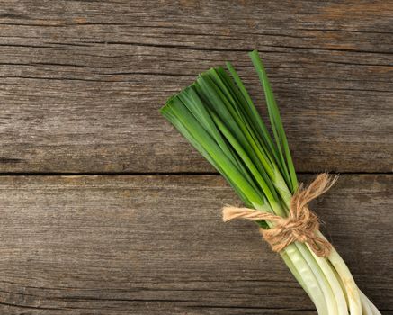 fresh green onion leaves tied with a rope in a bunch on a gray wooden background, top view