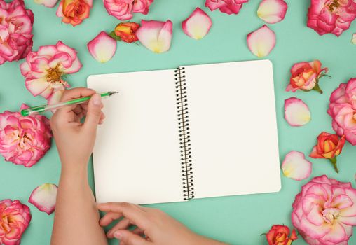 left female hand holds a green pen over empty white sheet of paper, next to a bouquet of blooming pink roses, top view