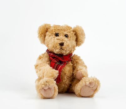 cute brown curly teddy bear in a red checkered scarf sitting on white background