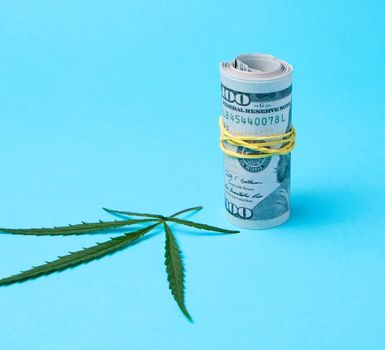 banknotes of american dollars and green leaf of hemp on a blue background, concept of making money on illegal business