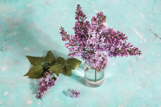 minimal composition, bouquet of lilac blossoms in glass bottle on light background. floral spring texture