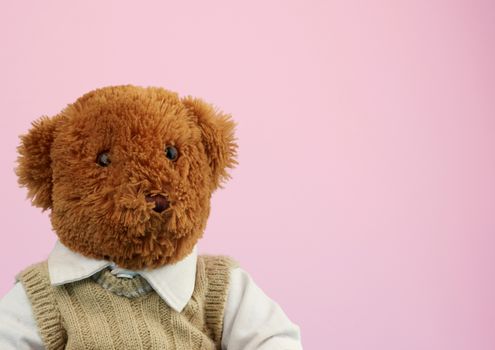 cute little brown teddy bear, toy is sitting on a pink background, close up, copy space