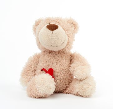 cute little beige teddy bear, toy is sitting on a white background, close up, copy space
