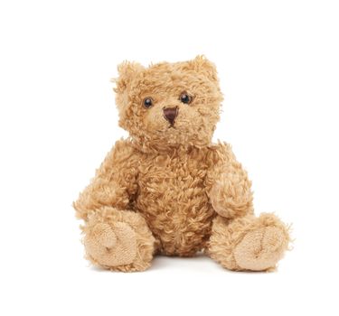 cute little brown teddy bear, toy is sitting on a white background, close up